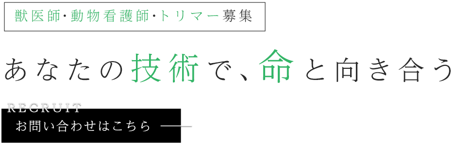充実した福利厚生を用意