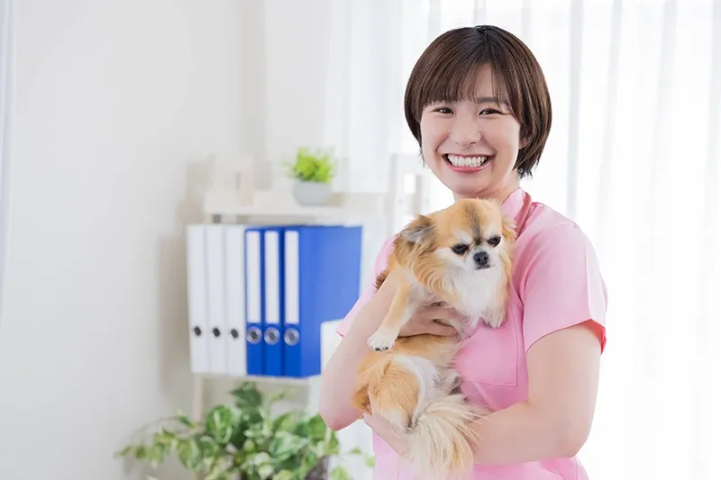 先輩スタッフからのメッセージを紹介