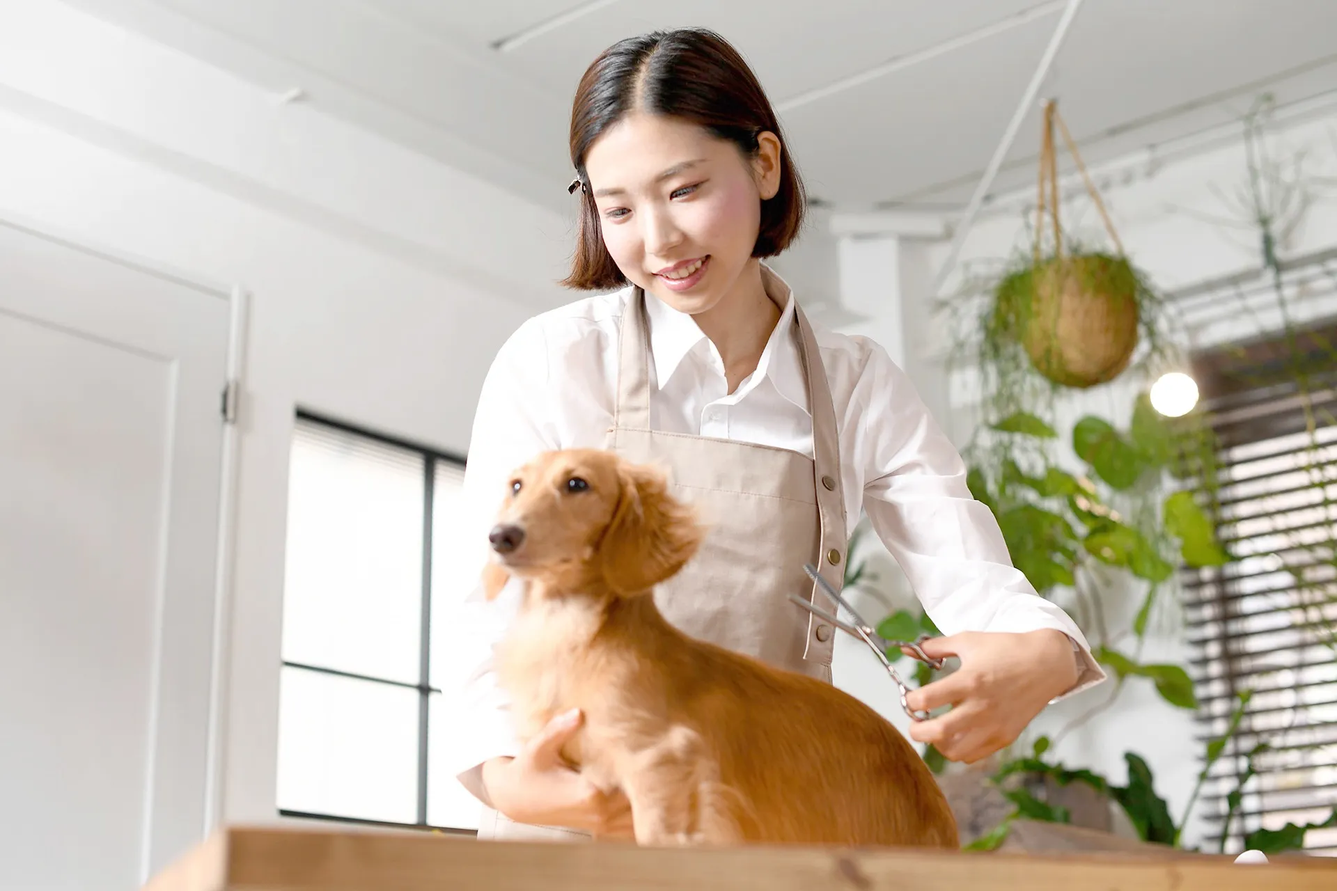 有限会社アサップ