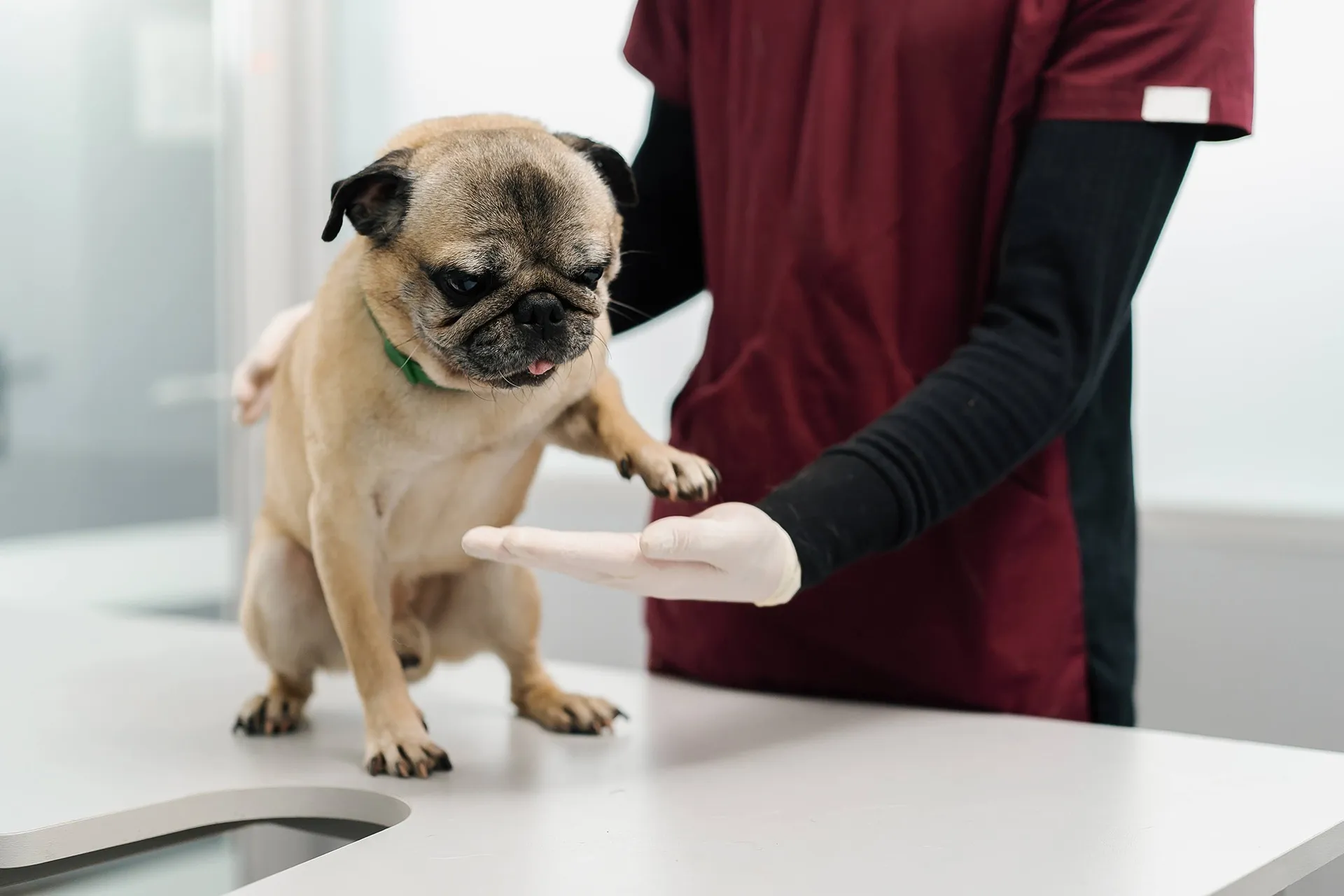 有限会社アサップ