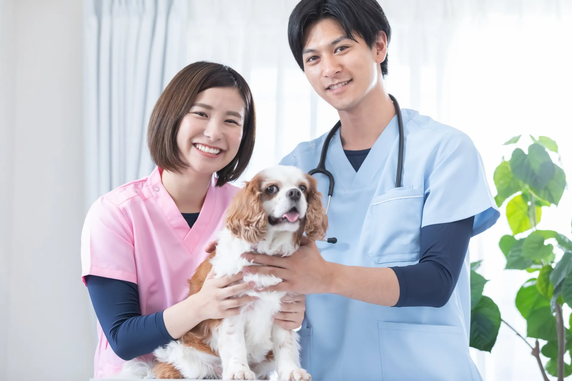 有限会社アサップ