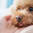 プライバシーポリシー